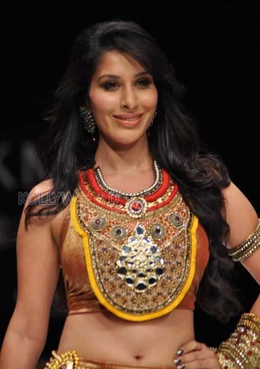 Sophie Choudry Hot Photos