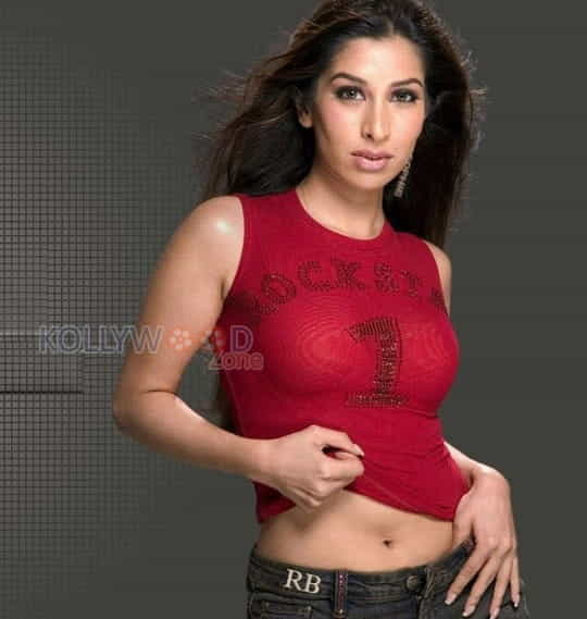 Sophie Choudry Hot Photos