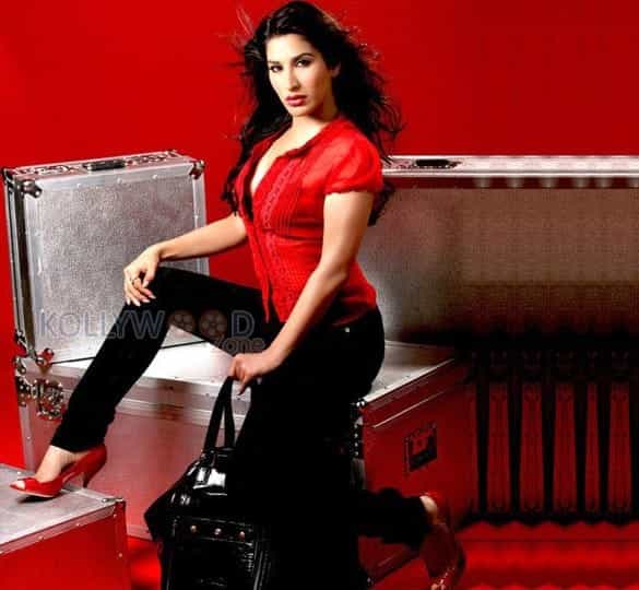 Sophie Choudry Hot Photos