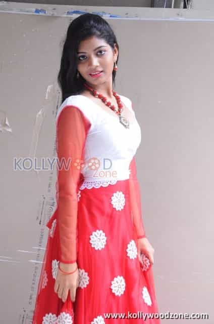 Telugu Actress Bindu Pictures