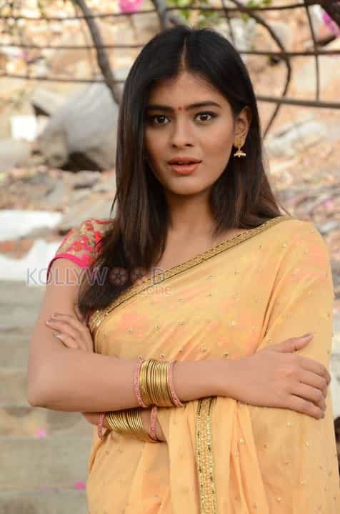 Telugu Actress Hebah Patel Saree Pictures