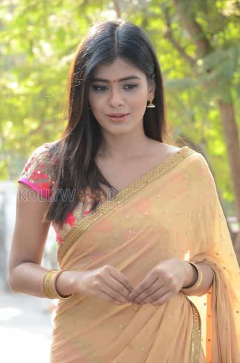 Telugu Actress Hebah Patel Saree Pictures