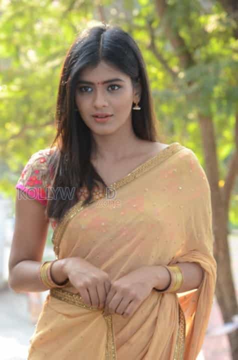 Telugu Actress Hebah Patel Saree Pictures