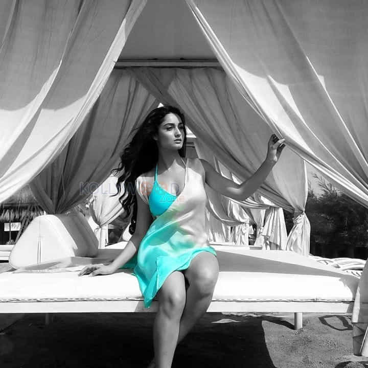 Tridha Choudhury Bikini Photos