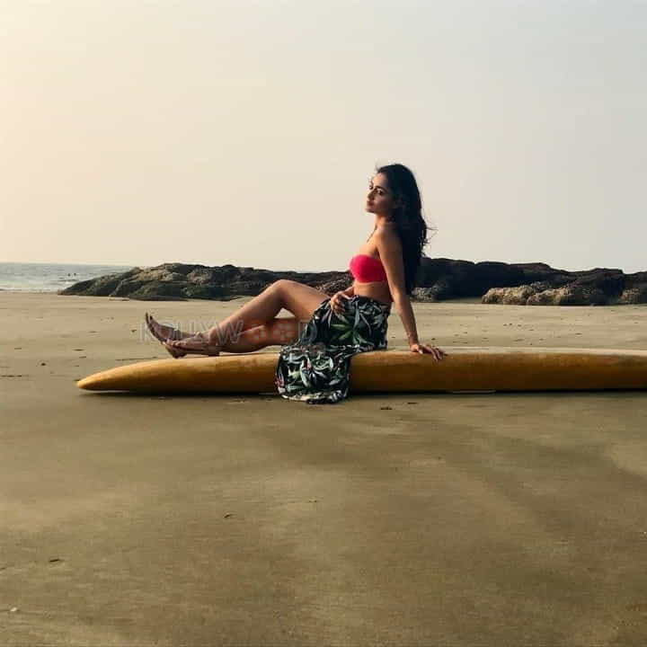 Tridha Choudhury Bikini Photos