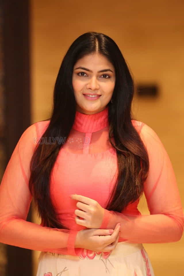 Actress Kalpika Ganesh At Aha Media Launch Photos