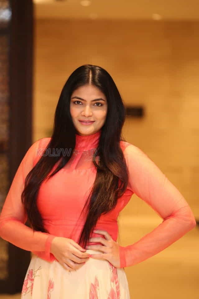 Actress Kalpika Ganesh At Aha Media Launch Photos