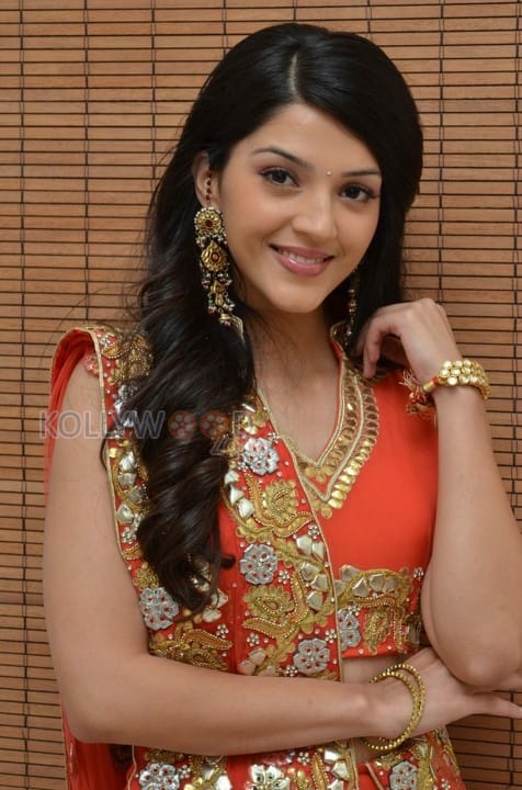 Actress Mehreen Photos