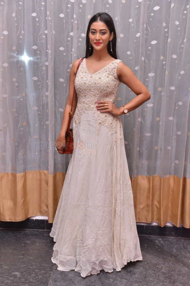 Actress Pooja Jhaveri At Sobhan Babu Awards Photos