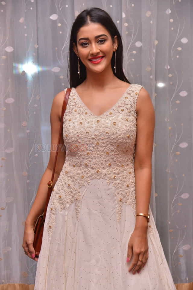 Actress Pooja Jhaveri At Sobhan Babu Awards Photos