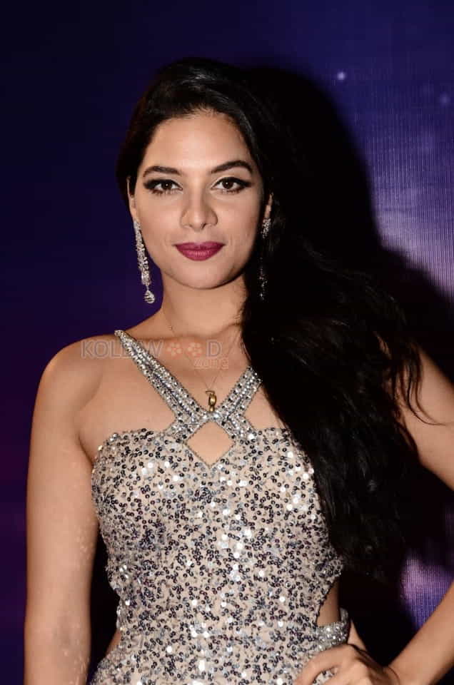 Actress Tanya Hope At Zee Apsara Awards Photos