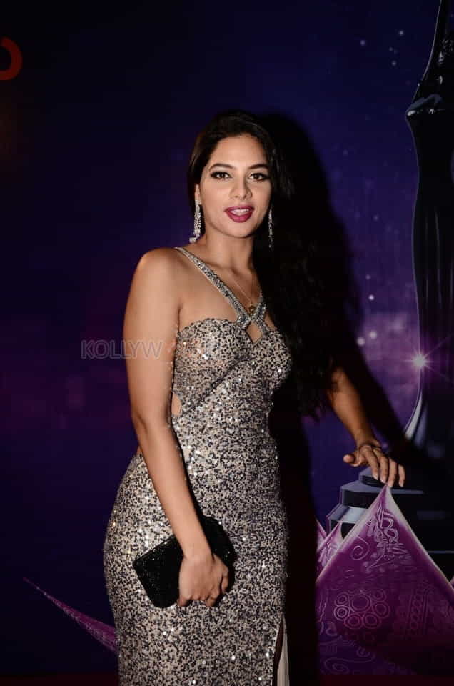 Actress Tanya Hope At Zee Apsara Awards Photos