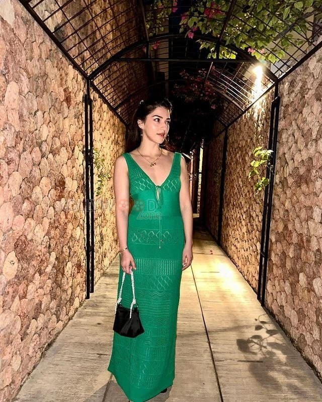 Beautiful Mehreen Pirzada in a Green Maxi Dress Photos 03