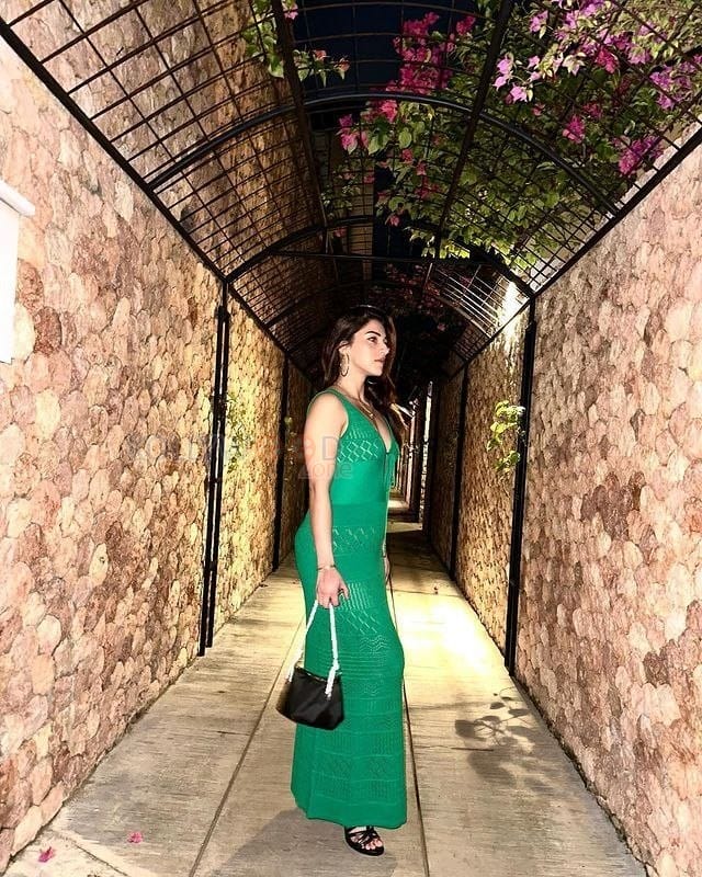 Beautiful Mehreen Pirzada in a Green Maxi Dress Photos 04