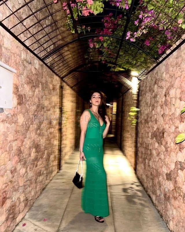 Beautiful Mehreen Pirzada in a Green Maxi Dress Photos 05