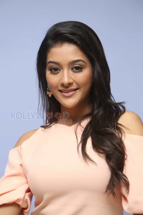 Beautiful Pooja Jhaveri Photos