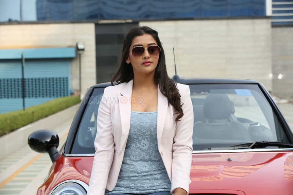 Echo Tamil Movie Actress Pooja Jhaveri Photos