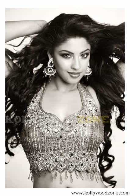 Hot Richa Gangopadhyay Sexy Stills