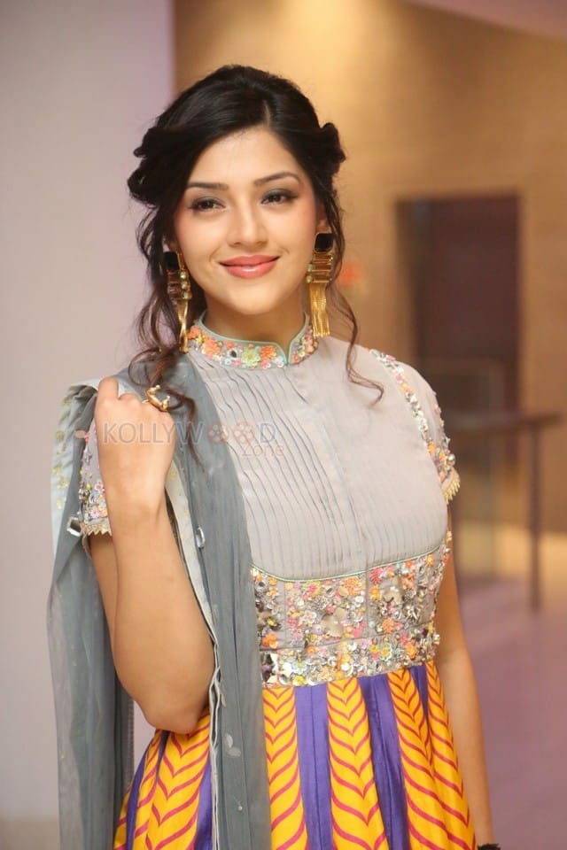 Indian Model Actress Mehreen Pirzada Photos