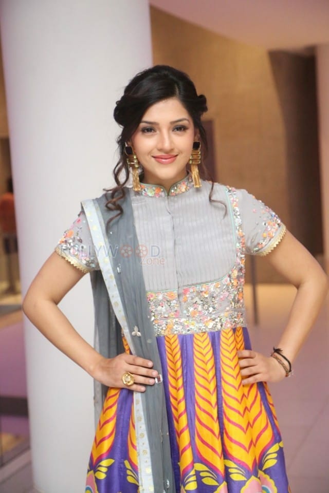 Indian Model Actress Mehreen Pirzada Photos