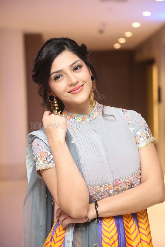 Indian Model Actress Mehreen Pirzada Photos