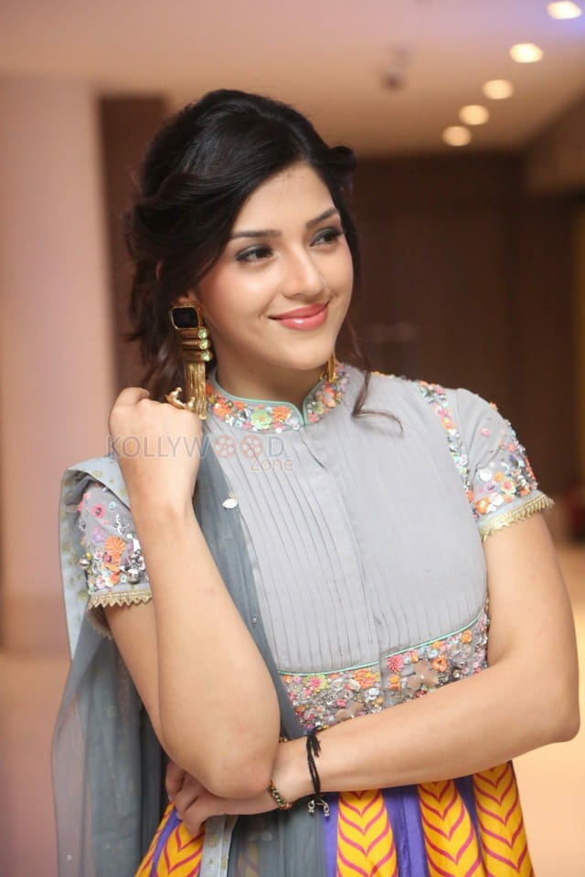 Indian Model Actress Mehreen Pirzada Photos