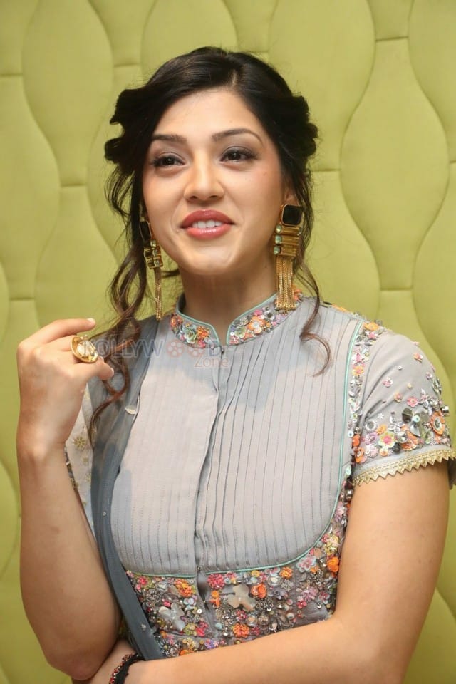 Indian Model Actress Mehreen Pirzada Photos