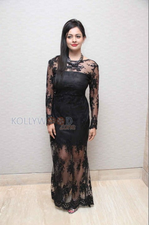 Pooja Kumar At Audi A Matix Car Launch Photos