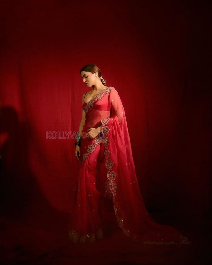 Sexy Wamiqa Gabbi in a Red Georgette Saree Pictures 02