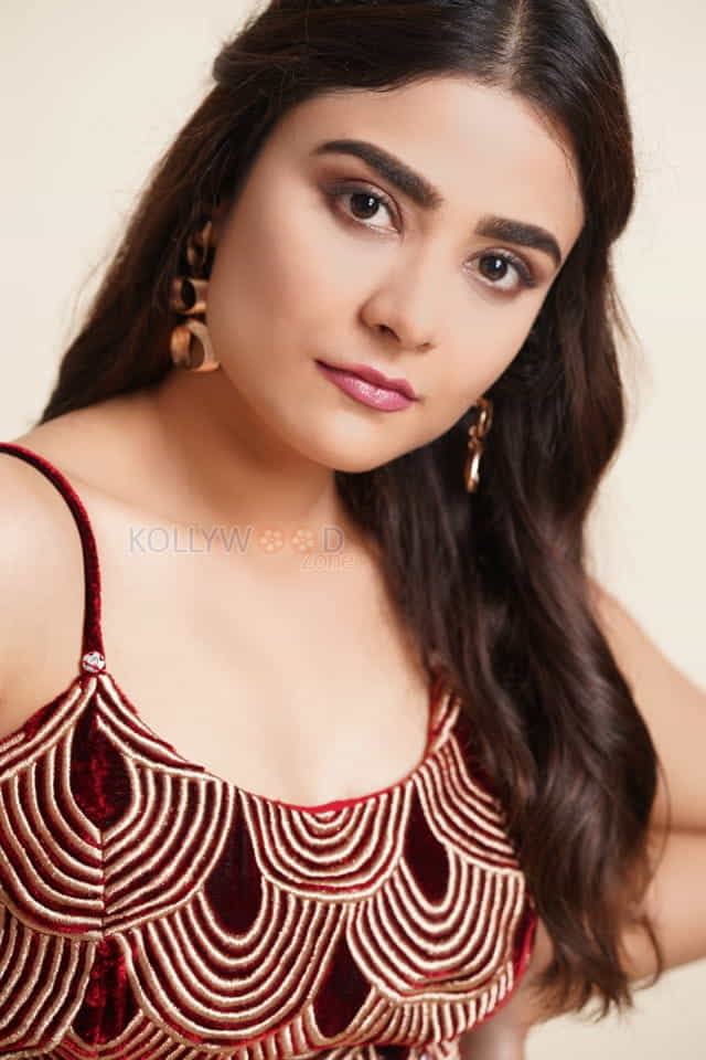 Telugu Movie Savaari Actress Priyanka Sharma Photos