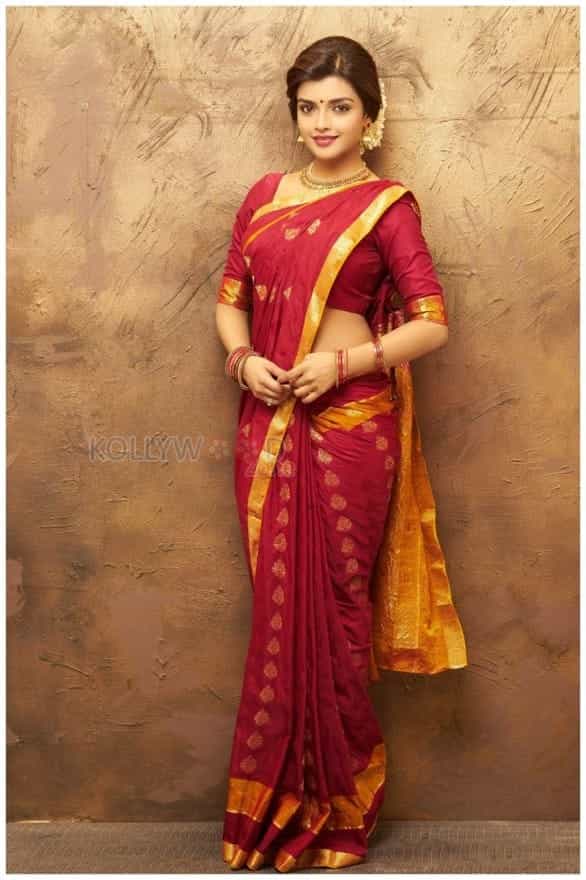 Actress Ashna Zaveri Traditional Photoshoot Photos