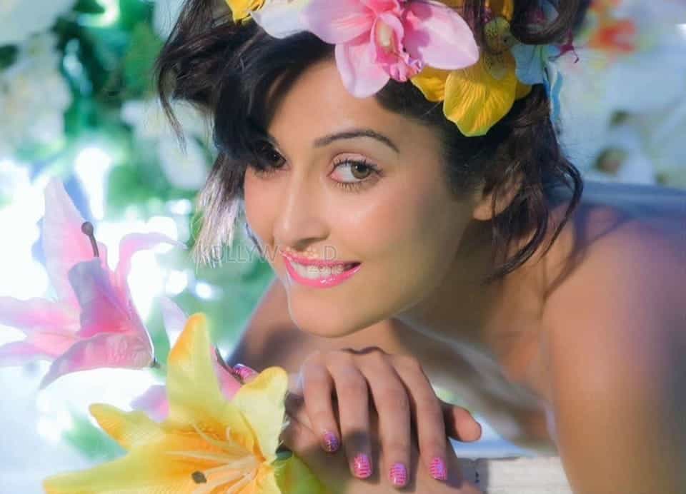 Actress Disha Pandey New Photoshoot Pictures