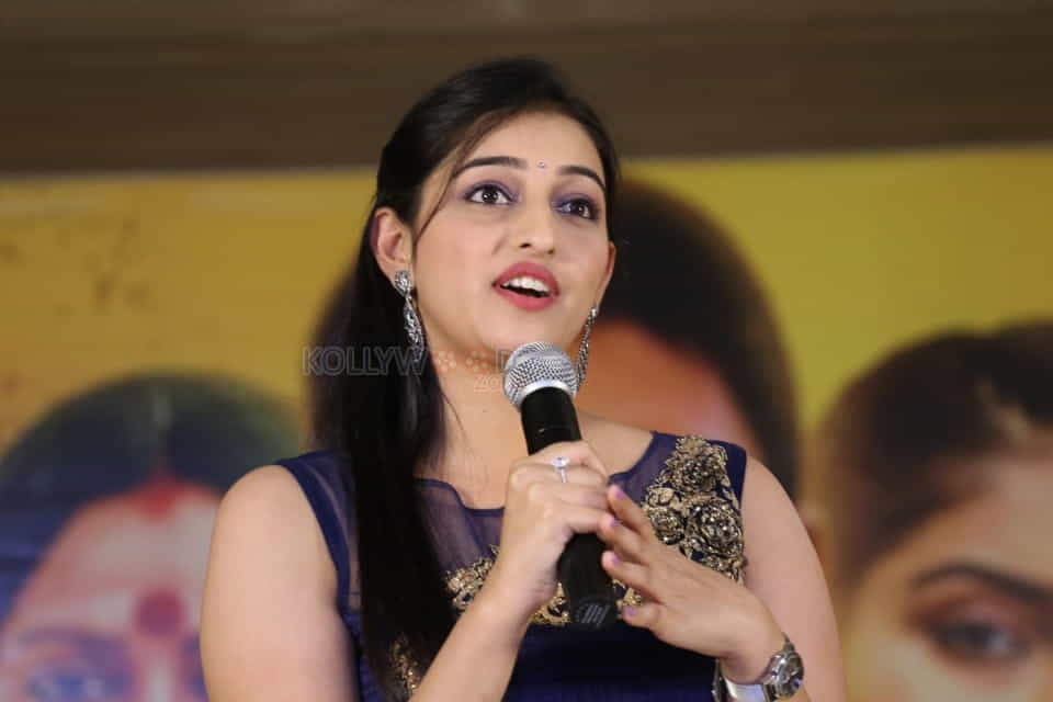 Actress Mouryaani At Law Movie Press Meet Photos