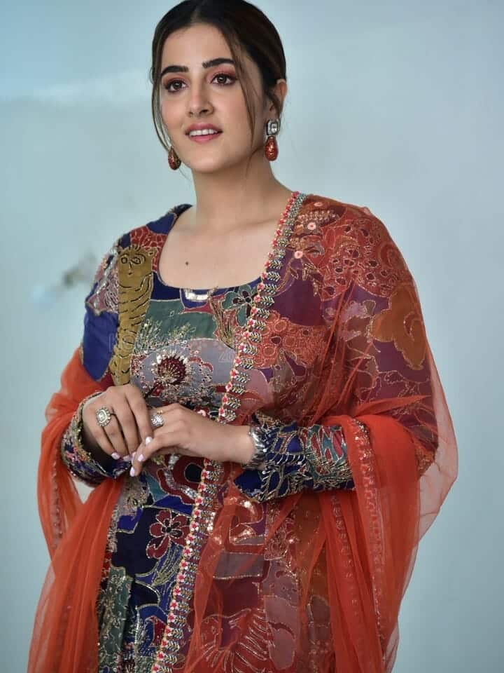 Actress Nupur Sanon At Tiger Nageswara Rao Interview Photos 71 (243868 ...