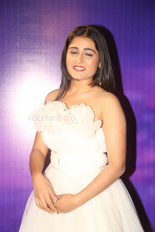 Actress Shalini Pandey At Zee Apsara Awards Photos