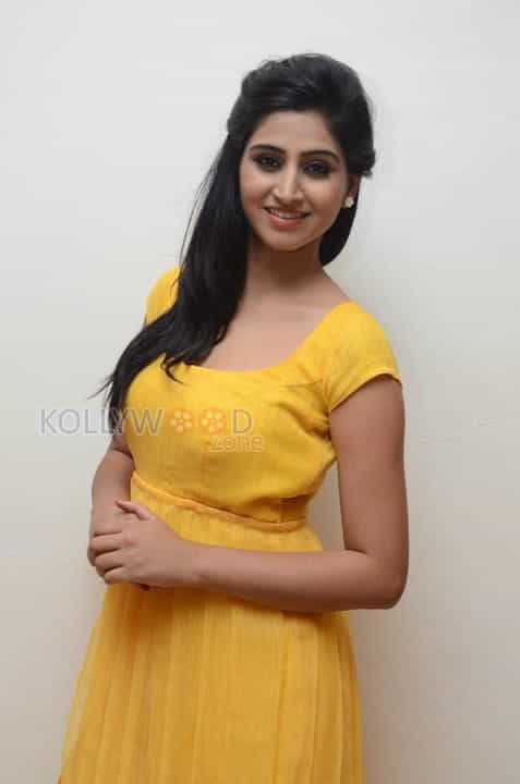 Actress Shamili Photos