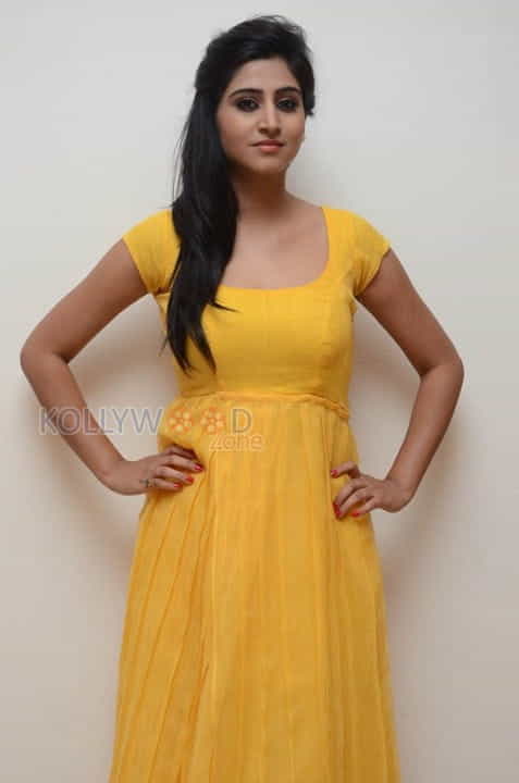 Actress Shamili Photos