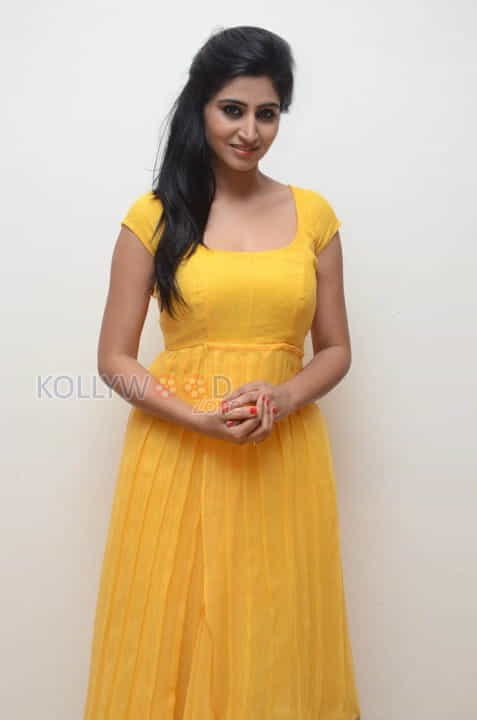 Actress Shamili Photos