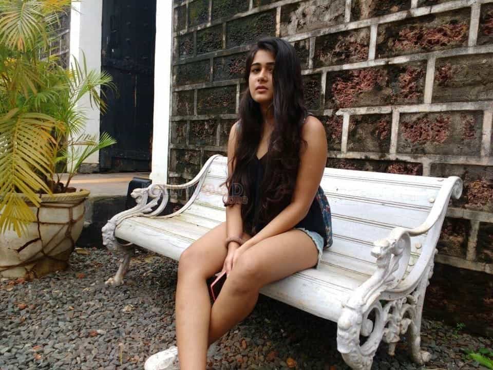 Arjun Reddy Heroine Shalini Pandey Photos