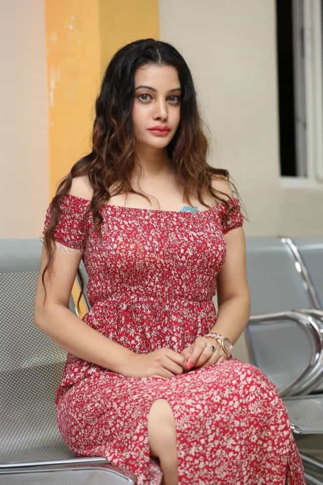 Beautiful Actress Diksha Panth Pictures