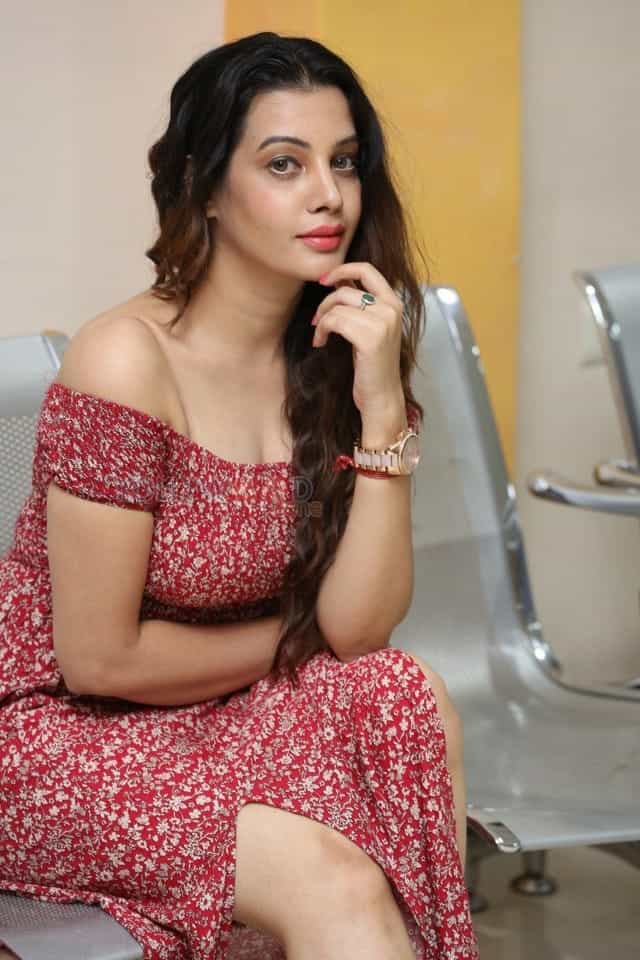 Beautiful Actress Diksha Panth Pictures