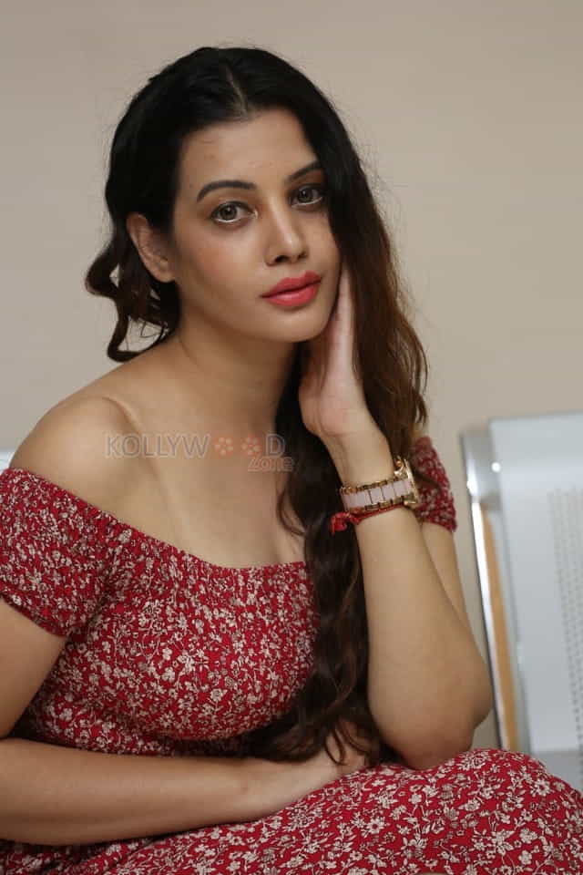 Beautiful Actress Diksha Panth Pictures