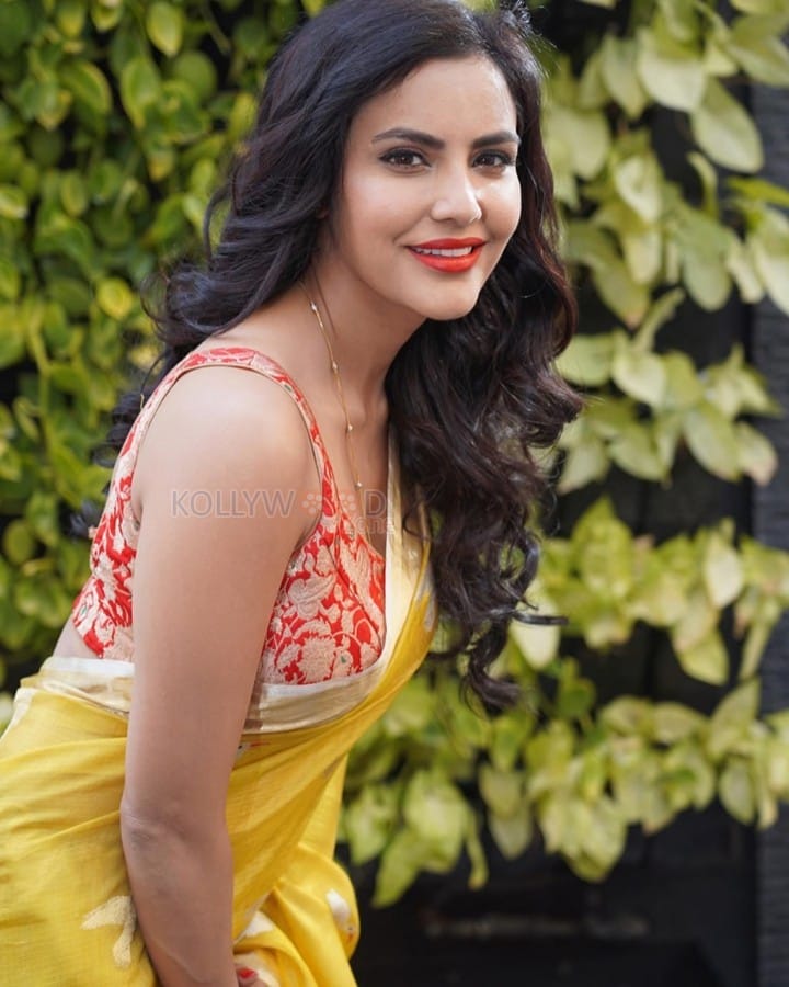 Beautiful Priya Anand in a Yellow Saree with Printed Sleeveless Blouse Photos 03