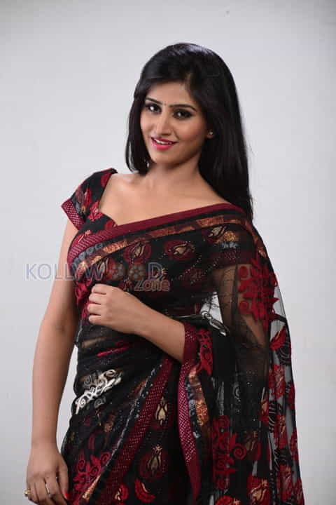 Best Actors Movie Heroine Actress Shamili Sexy Saree Photos