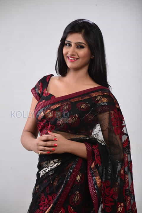 Best Actors Movie Heroine Actress Shamili Sexy Saree Photos