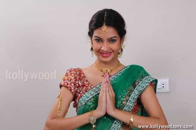 Deeksha Panth In Saree Pictures