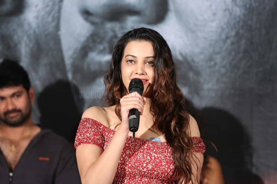 Diksha Panth At Mayaamaal Pre Release Event Pictures