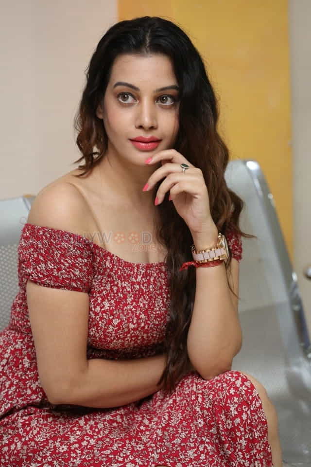 Diksha Panth At Mayaamaal Pre Release Event Pictures