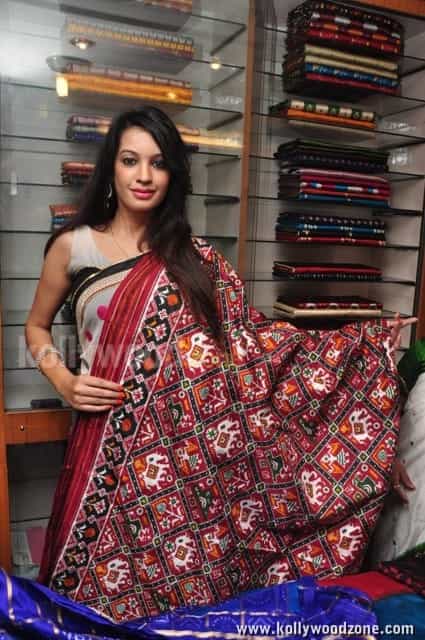 Diksha Panth Saree Pictures