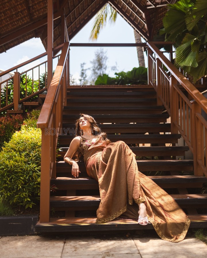 Elegant Krithi Shetty in a Sexy Brown Saree Photos 04